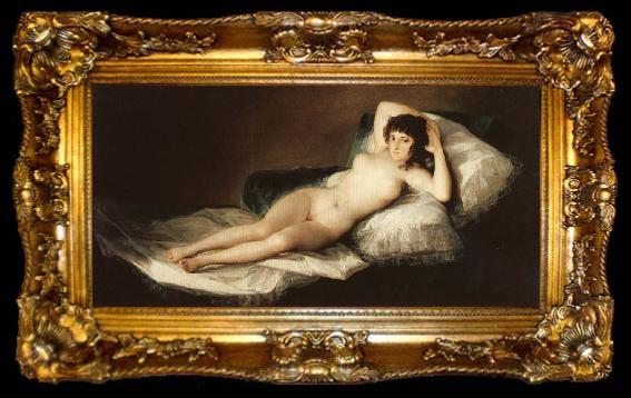 framed  Francisco Goya The Naked Maja, ta009-2